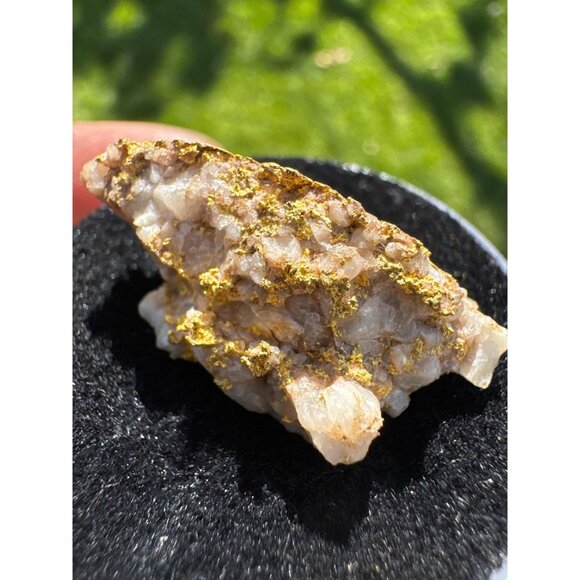 VERY RICH Gold in Quartz Specimen- California - 10.8 grams - Picture 2 of 12